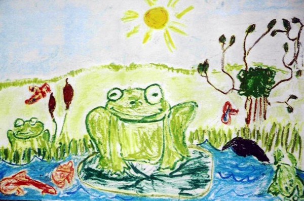 Grade 1 frogland